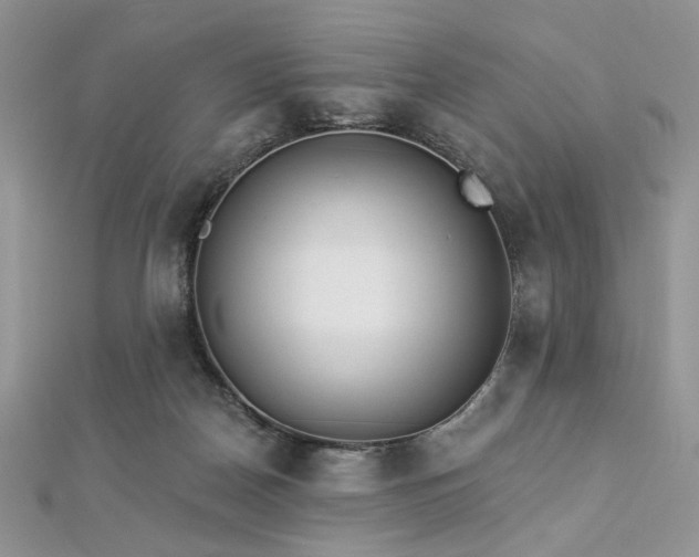 X0000112820170200908211213