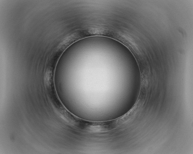 X0000112820171200908211213