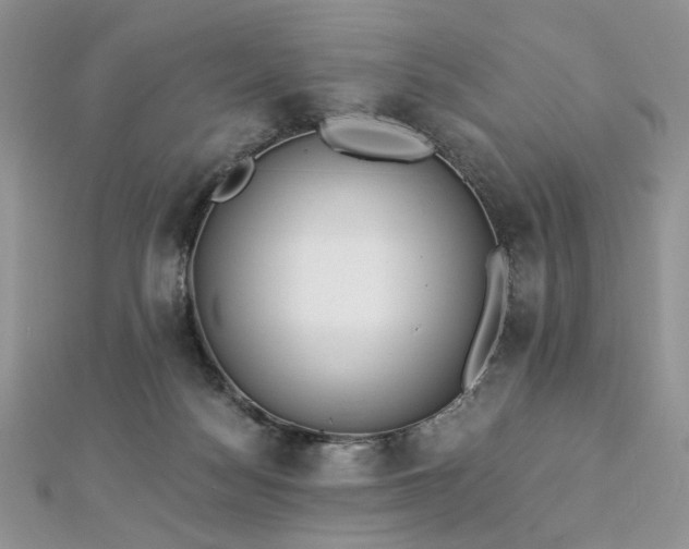 X0000112820172200908211213