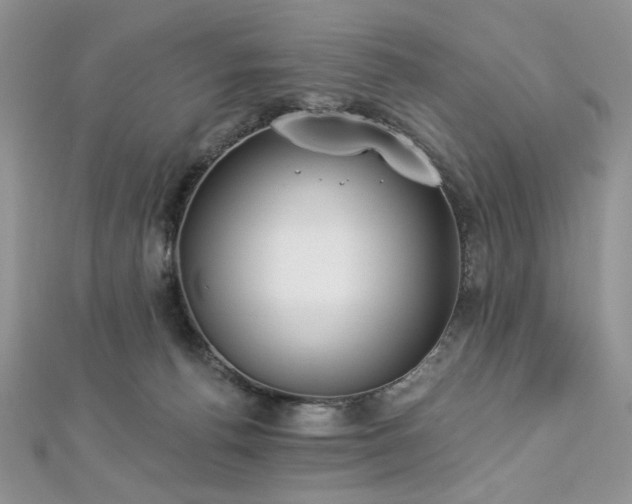 X0000112820176200908211213