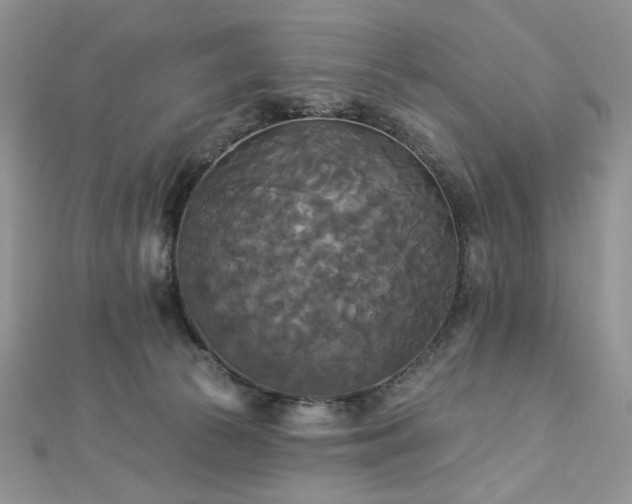 X0000112820177200908211213