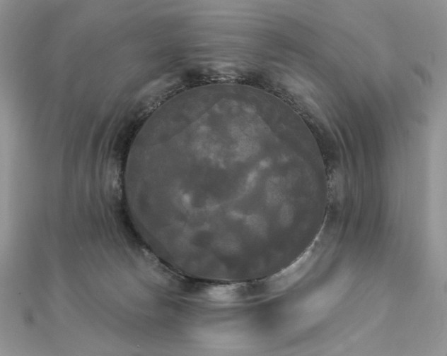 X0000112820178200908211213