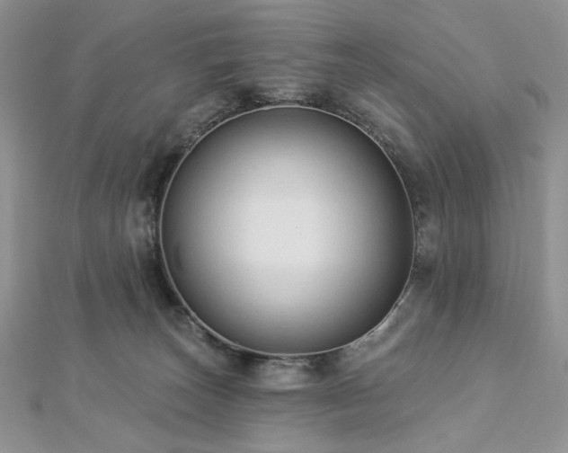 X0000112820179200908211213