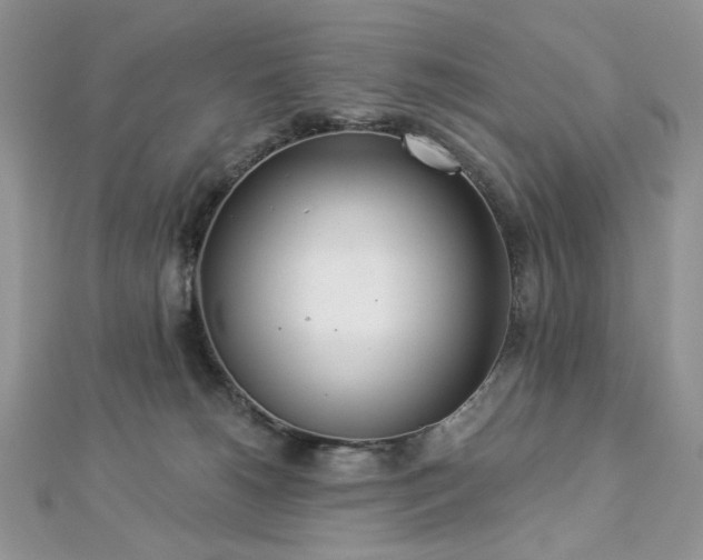 X0000112820180200908211214