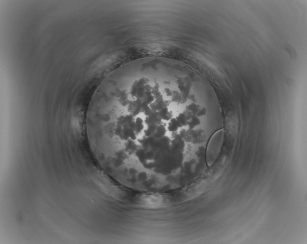 X0000112820181200908211214