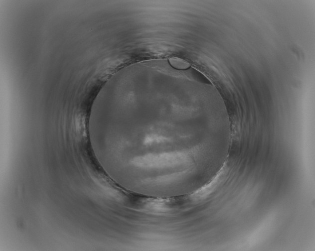 X0000112820182200908211214
