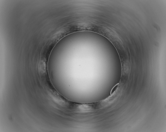 X0000112820183200908211214