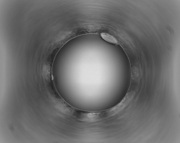 X0000112820184200908211214