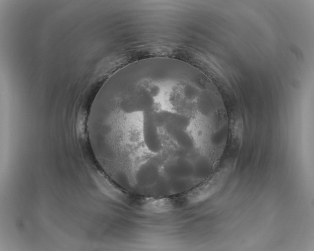 X0000112820185200908211214