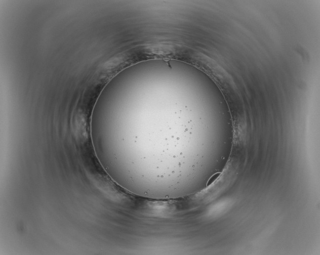 X0000112820187200908211214