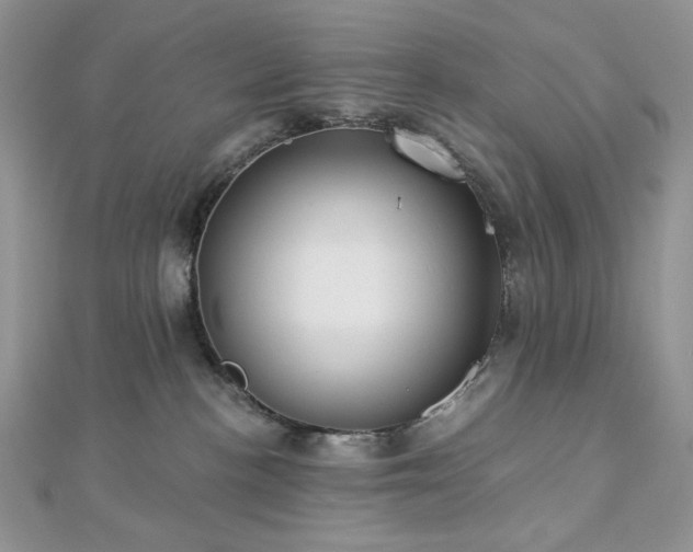 X0000112820188200908211214