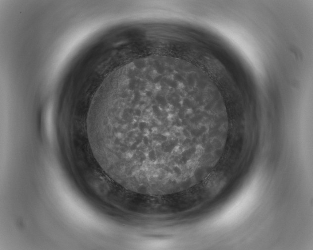 X0000112820189200908211214