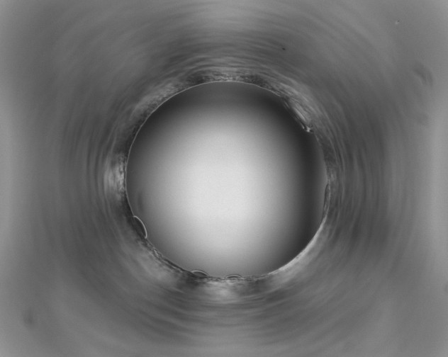 X0000112820190200908211214