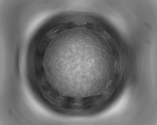 X0000112820191200908211214