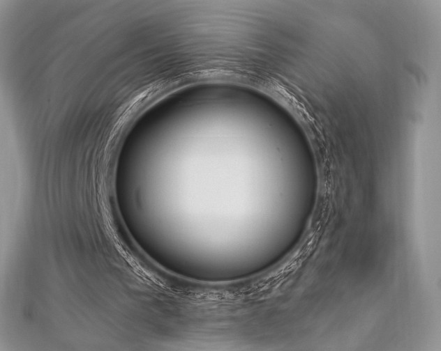 X0000112820193200908211213