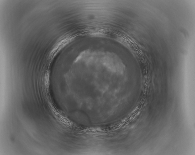X0000112820194200908211213