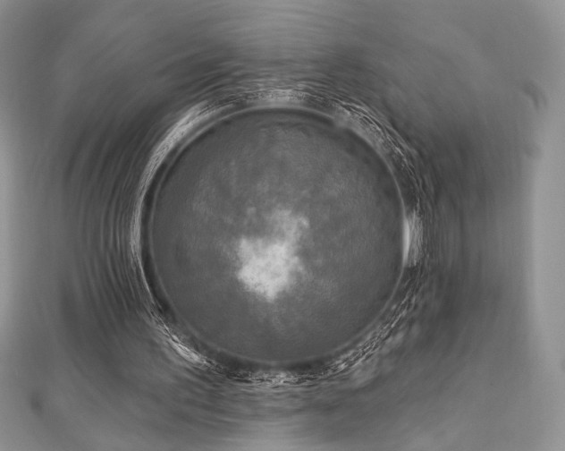 X0000112820195200908211213