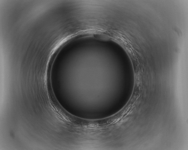 X0000112820196200908211213