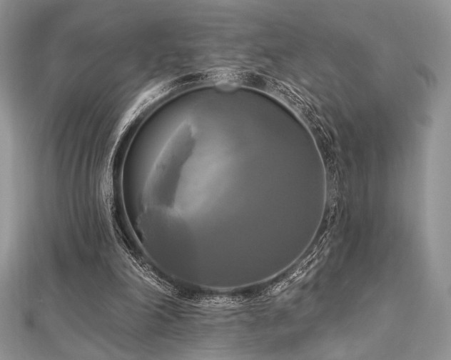 X0000112820198200908211213