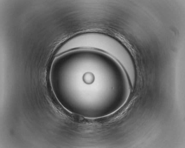 X0000112820201200908211213