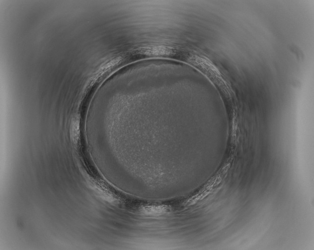 X0000112820202200908211213