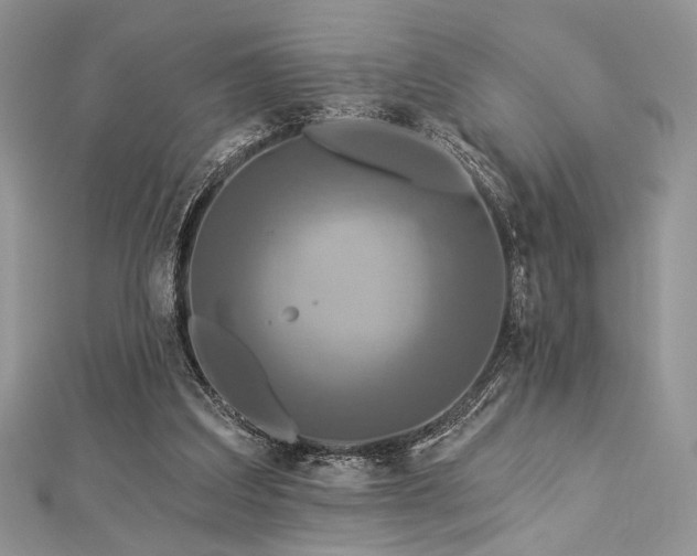 X0000112820203200908211213