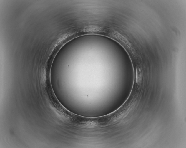 X0000112820204200908211213