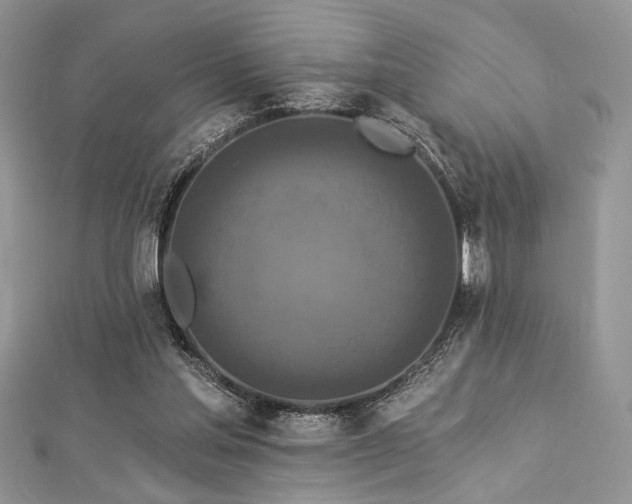 X0000112820205200908211213