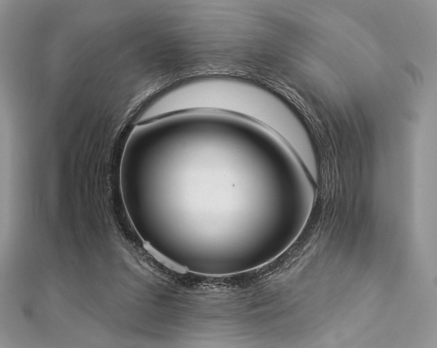 X0000112820207200908211213