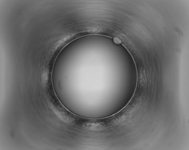 X0000112820208200908211213