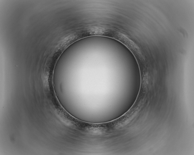X0000112820209200908211213
