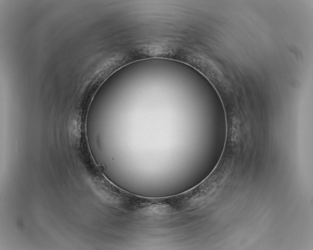 X0000112820210200908211213