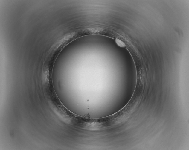 X0000112820212200908211213