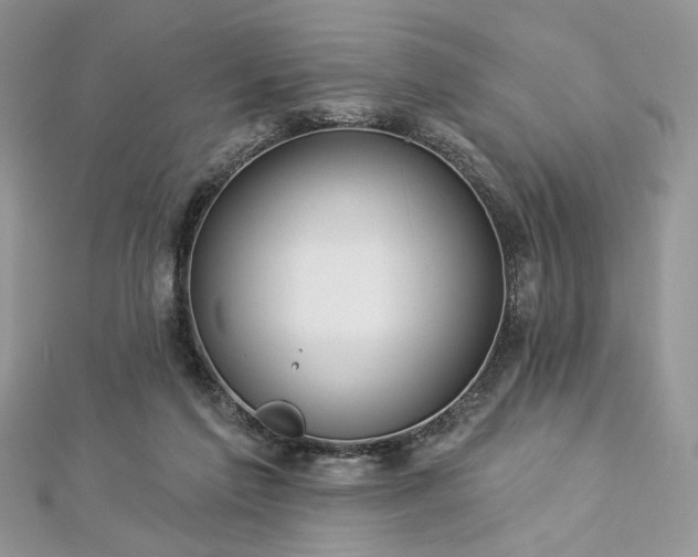 X0000112820213200908211213