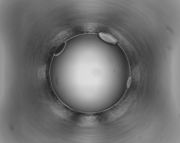 X0000112820217200908211213