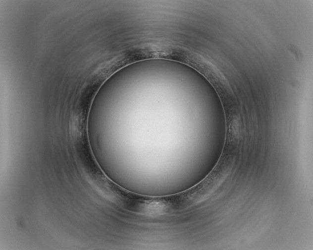 X0000112820218200908211213
