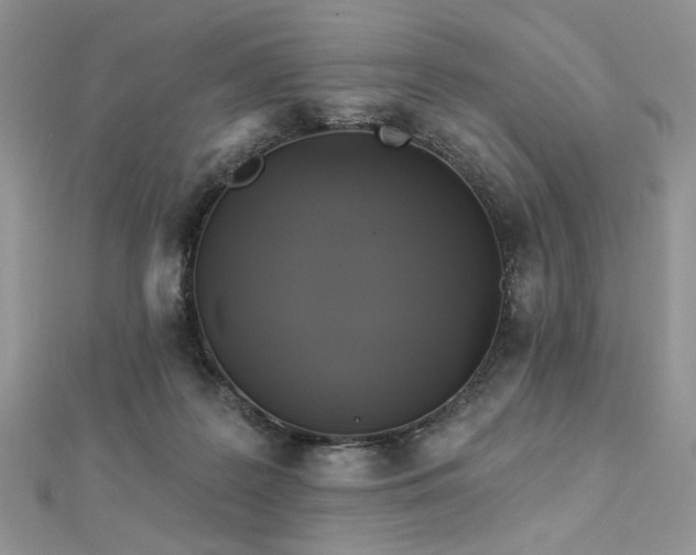 X0000112820219200908211213