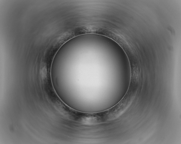 X0000112820220200908211213