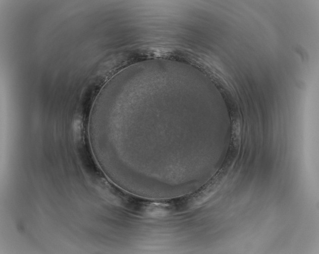 X0000112820222200908211213