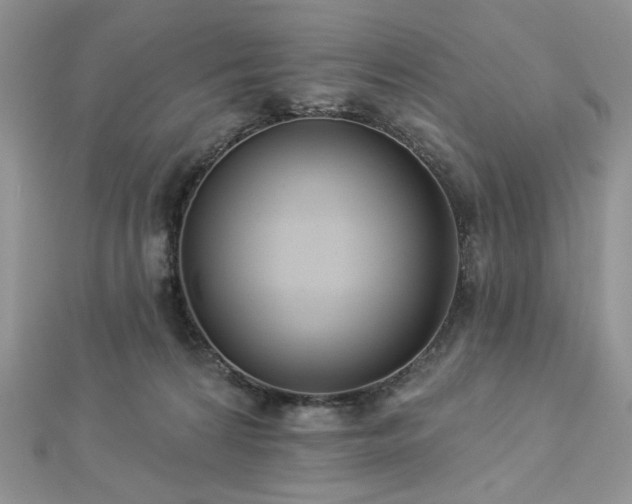X0000112820224200908211213