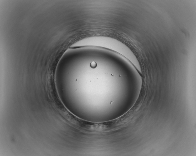 X0000112820225200908211213