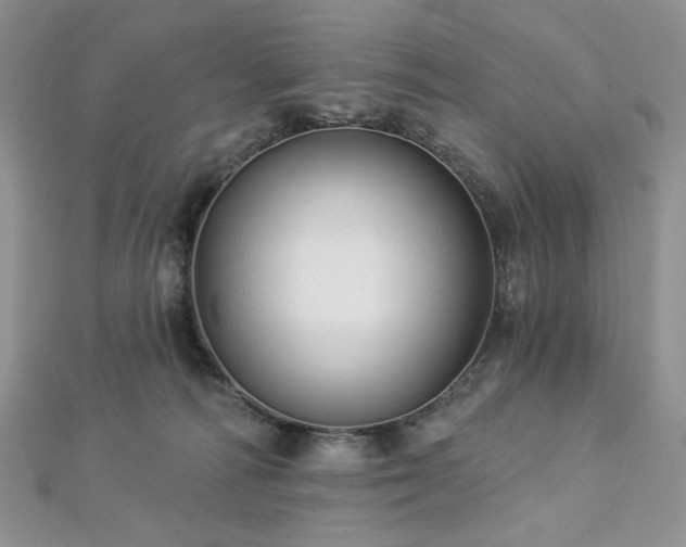 X0000112820226200908211213