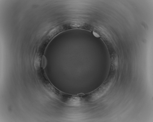 X0000112820227200908211213