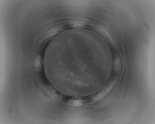 X0000112820228200908211213