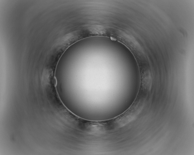 X0000112820229200908211213