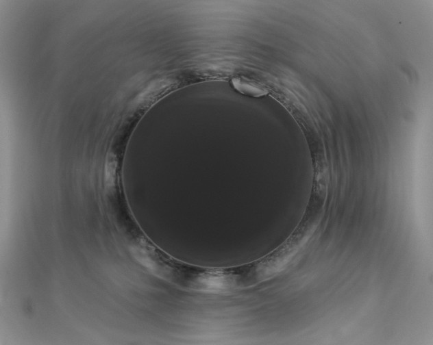 X0000112820231200908211213