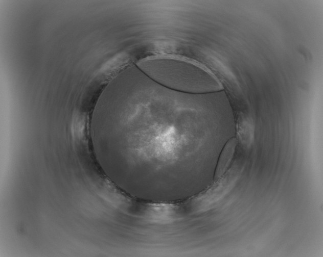 X0000112820233200908211213