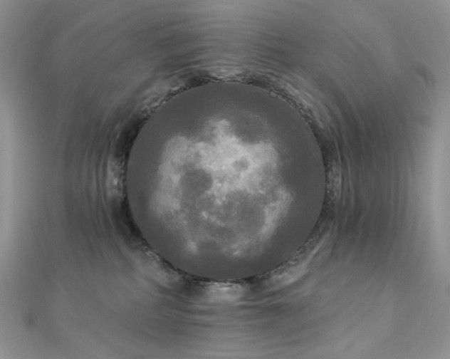 X0000112820234200908211213