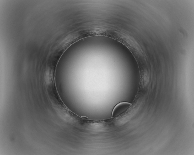 X0000112820236200908211212