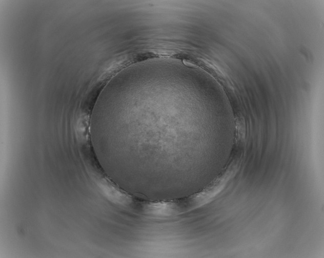 X0000112820237200908211212
